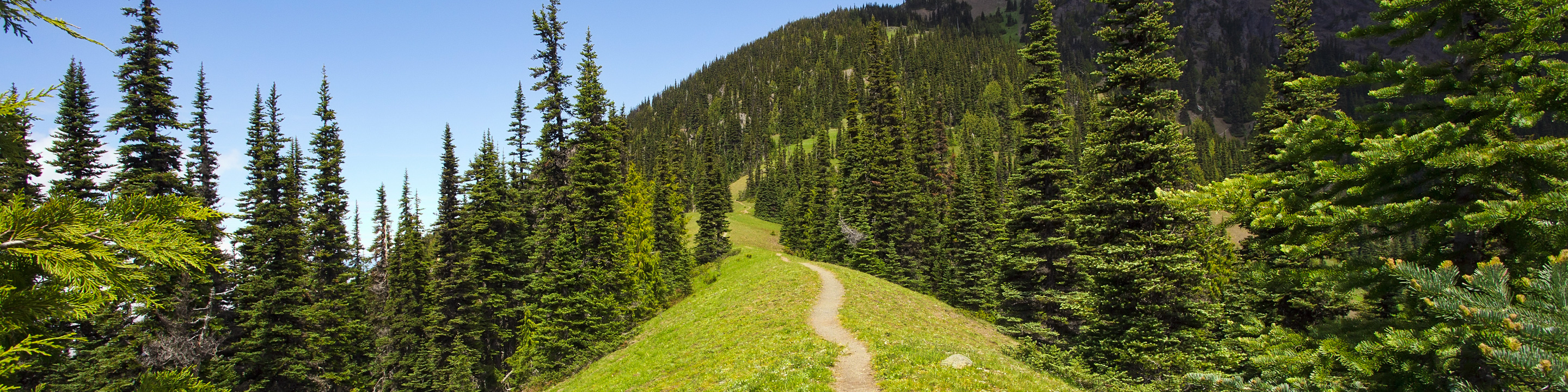Hiking trail heads up a steep mountain ridge.