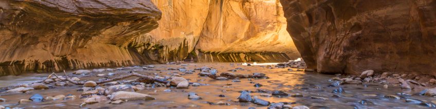 Trip Cancellation, Trip Delay or Trip Interruption